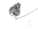 Honda XL 600 RM PD04 [1988] - Brake Drum Brake Anchor Plate bagpå-2