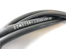 Triumph Daytona 955i T595N [2001] - Gastog-2