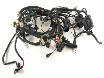 Aprilia RSV 1000 RR Factory [2009] - Ledningsnet - 0