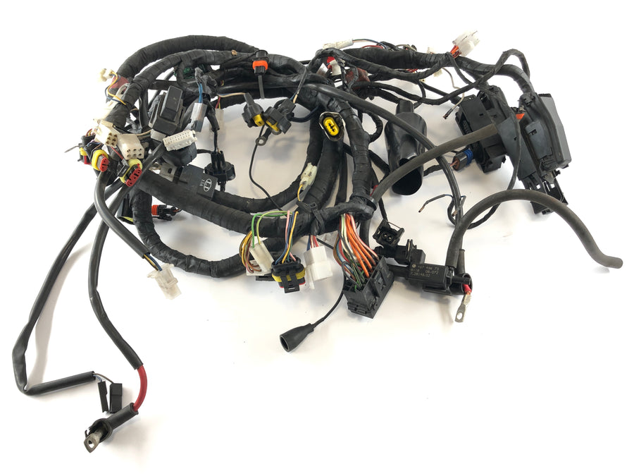 Aprilia RSV 1000 RR Factory [2009] - Ledningsnet