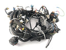 Moto Guzzi Norge 1200 LP [2006] - Ledningsnet-1