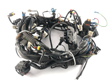Moto Guzzi Norge 1200 LP [2006] - Ledningsnet