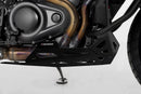 Harley-Davidson Pan America Special RA 1250 S [2021-2025] - motorskærm - billede 4