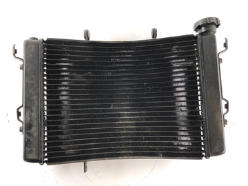 Triumph Street Triple R 675 D67LD [2008] - Cool Water Cooler - 0