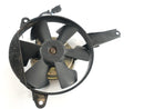 Yamaha YZF R6 RJ03 [2000] - køligere fan fan-1