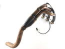 Triumph Tiger 955i 709en [2001] - Manifold med Lambda -sonde-3