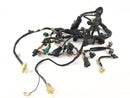 Suzuki DL 1000 V -Strom [2006] - Ledningsnet-1
