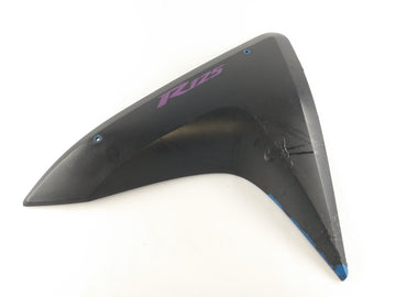 Yamaha YZF 125 RE06 [2011] - Cover Side Del - 0