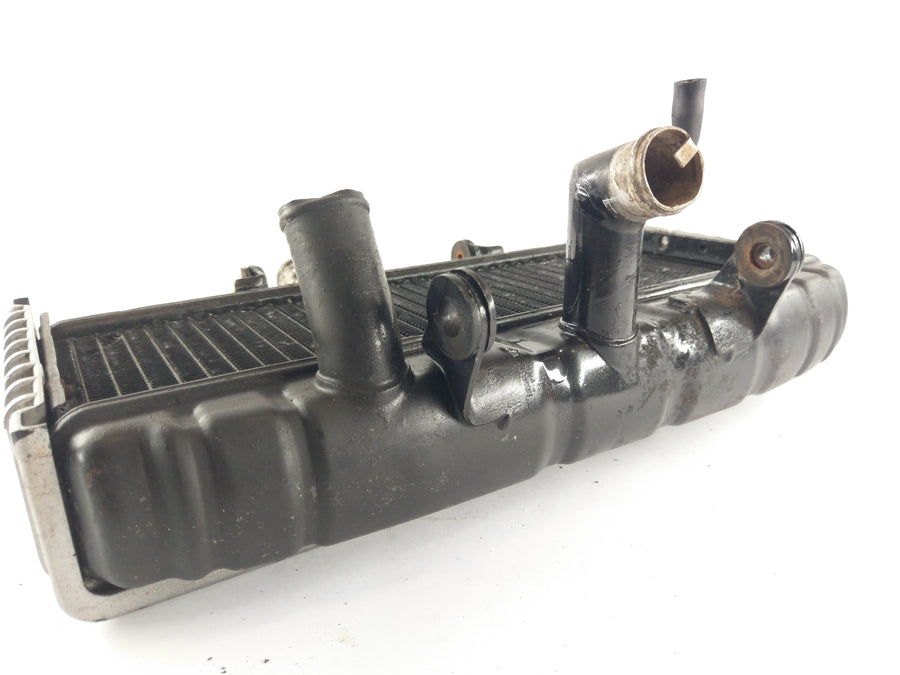 Suzuki GT 750 [1973] - Cool Water Cooler Grille defekt