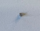 Rolex Cal. 2030 [Datejust 26mm] - 54414 Skrue til Anchor Bridge-2