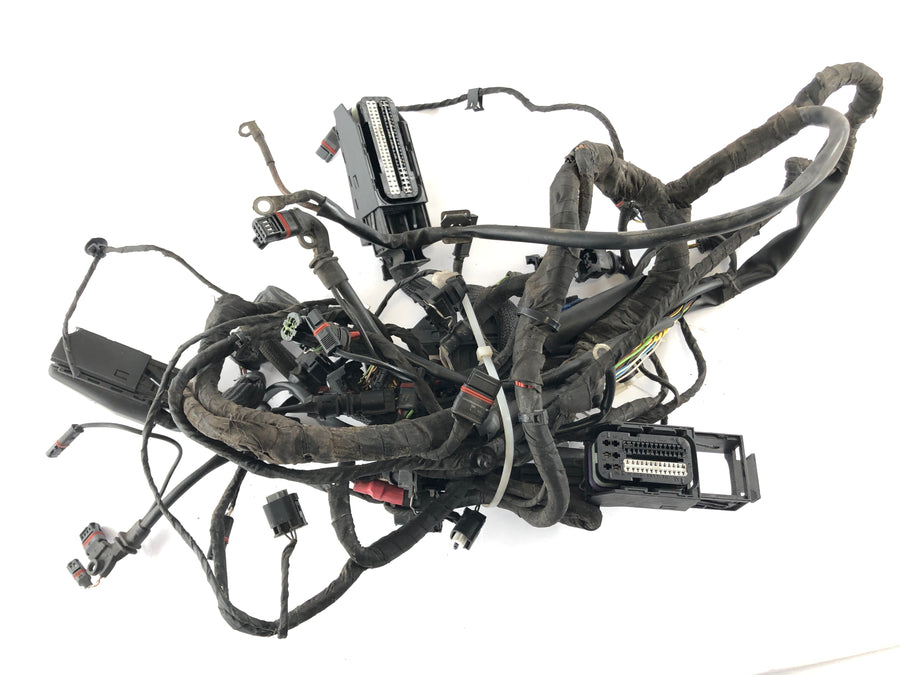 BMW F 800 ST [2006] - Ledningsnet