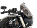 BENELLI LEONCINO 500 [2017-2024] - Touring forrude – se 1