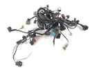 Kawasaki Z 750 ZR750J [2005] - Ledningsnet-5