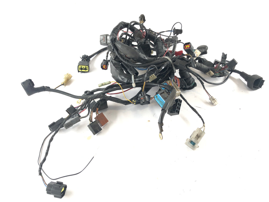 Kawasaki Z 750 ZR750J [2005] - Ledningsnet