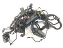 BMW F 800 ST [2006] - Ledningsnet-1