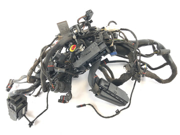 BMW F 800 ST [2006] - Ledningsnet