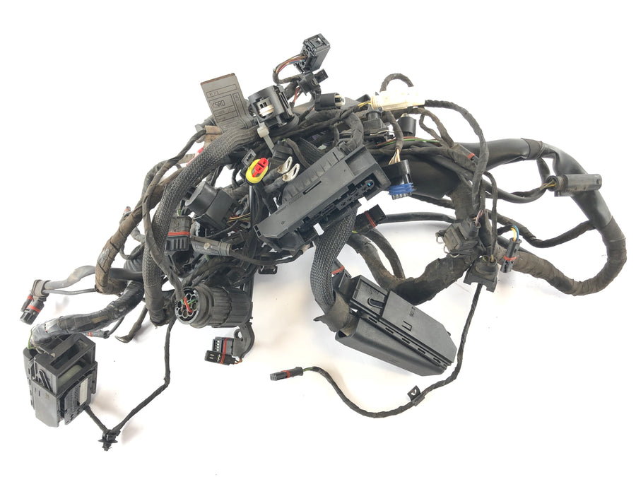 BMW F 800 ST [2006] - Ledningsnet